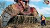 Extreme Dangerous Fastest Big Chainsaw Cutting Tree Machines Monster Stump Removal Excavator 26