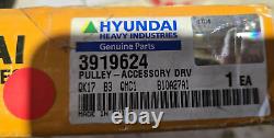 Hyundai 3919624 Pulley