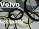 Volvo Parts Boom Cylinder Seal Kit For Ec460 (part # 1458-9143 14589143)
