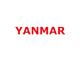 Yanmar 172484-72390 Arm Cylinder Kit fits VIO35 VIO35-2